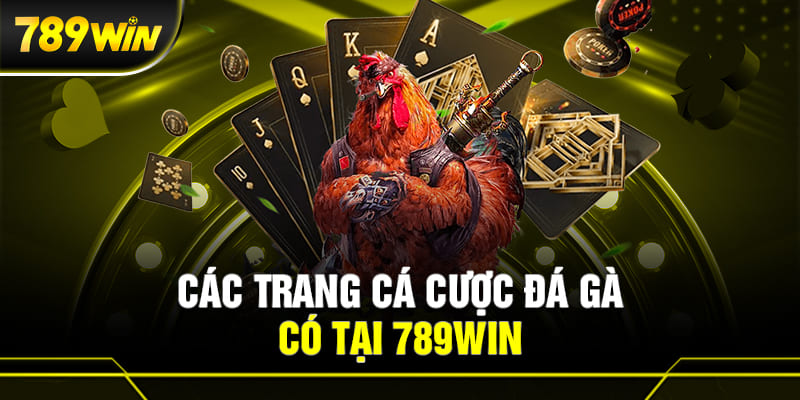 Ưu điểm nổi bật của sảnh đá gà