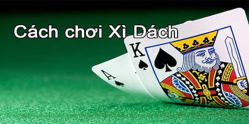 Cách chơi xì dách chi tiết từng bước