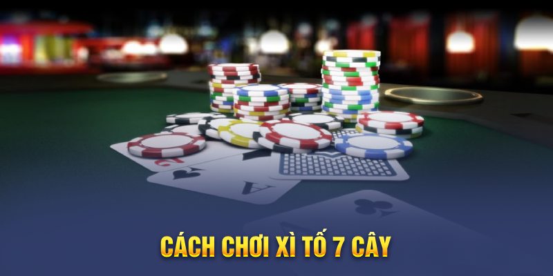 Tổng quan về trò chơi bài trí tuệ