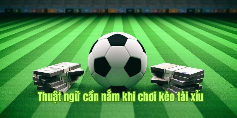 Tìm hiểu cách chơi tài xỉu bóng đá và các dạng kèo phổ biến