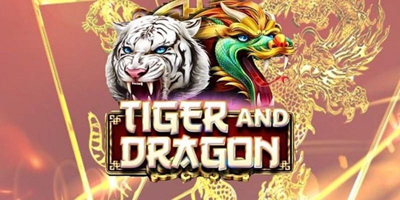 Luật rồng hổ cơ bản dành cho người mới