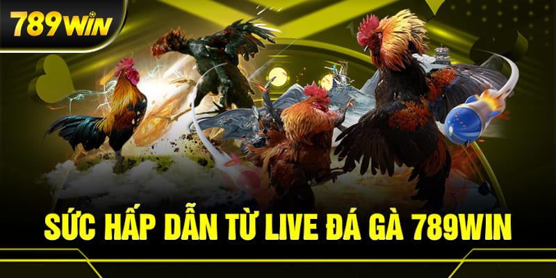 Sức hấp dẫn từ live đá gà 789WIN